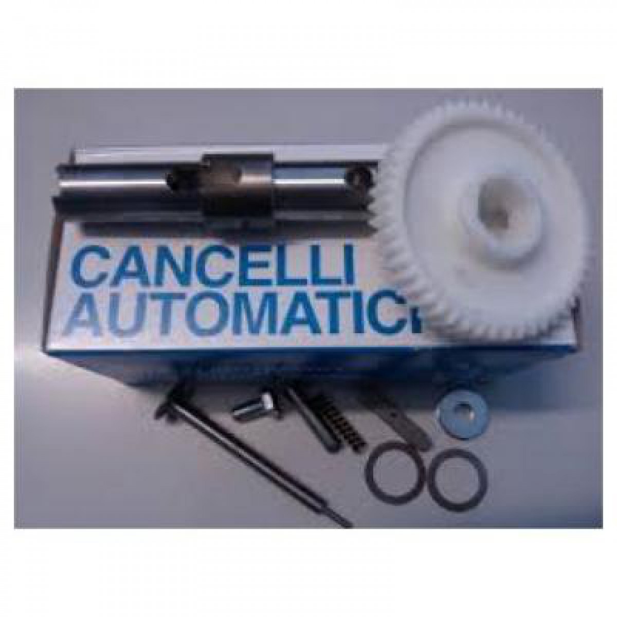 CAME 119RIBX048
