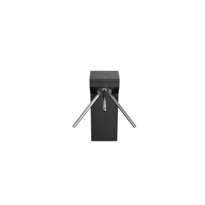 -мини-1