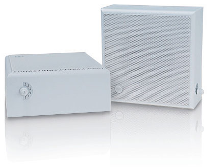 CVGaudio WPS6T