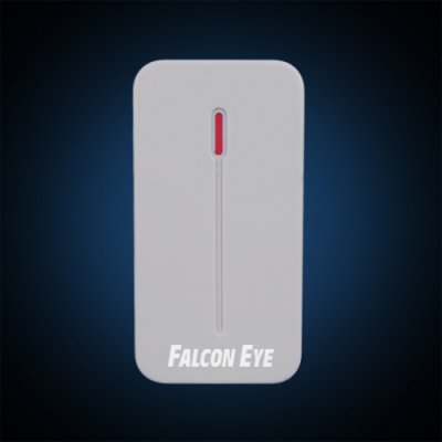 Falcon Eye FE-RD-EM (серый)