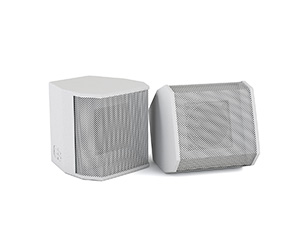 CVGaudio SAT-S3W