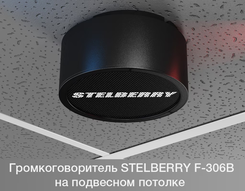 -мини-4