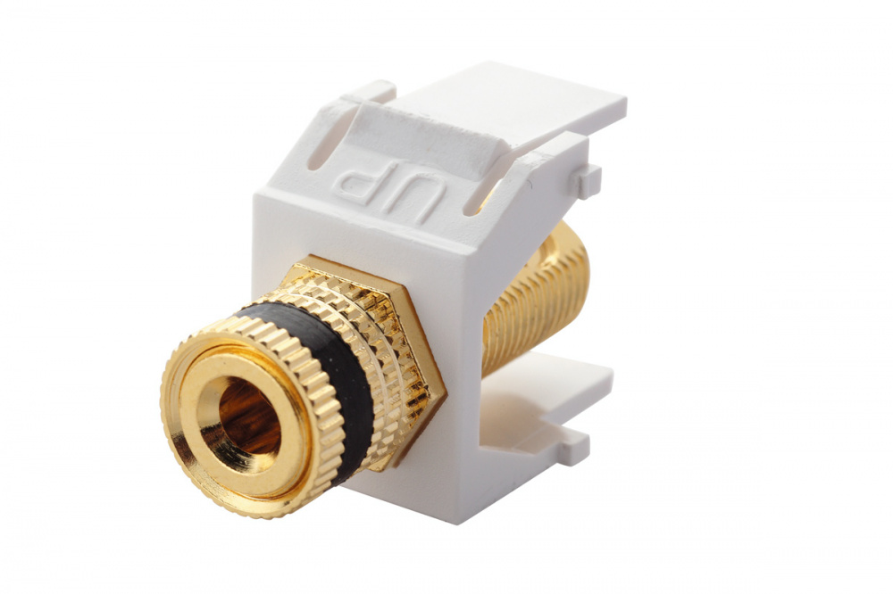 EUROLAN 16B-BP-03WT