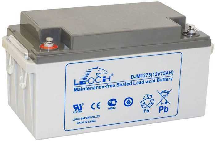 LEOCH DJM1275