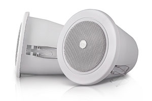 CVGaudio CRW4T