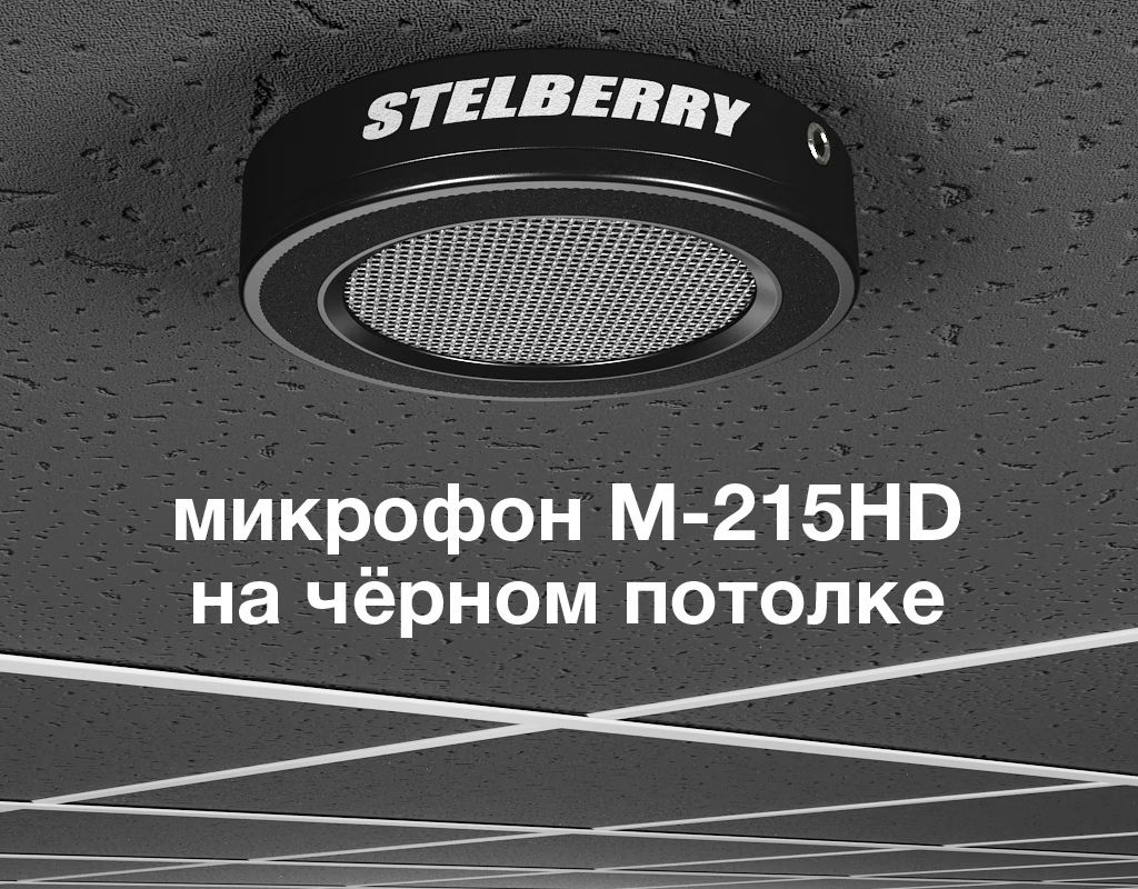 -мини-2
