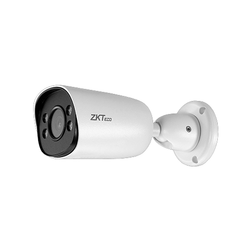 ZKTeco BS-855P11C-S7-C-MI