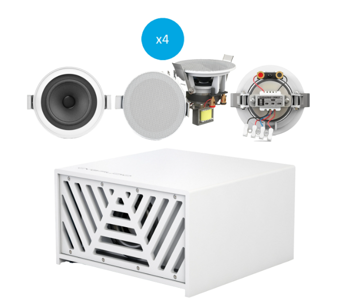 CVGaudio SUBSET-C5TW-IN