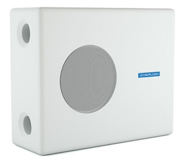 CVGaudio SUBone model F-8W/Active