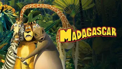 Кто ты из «Мадагаскара»?