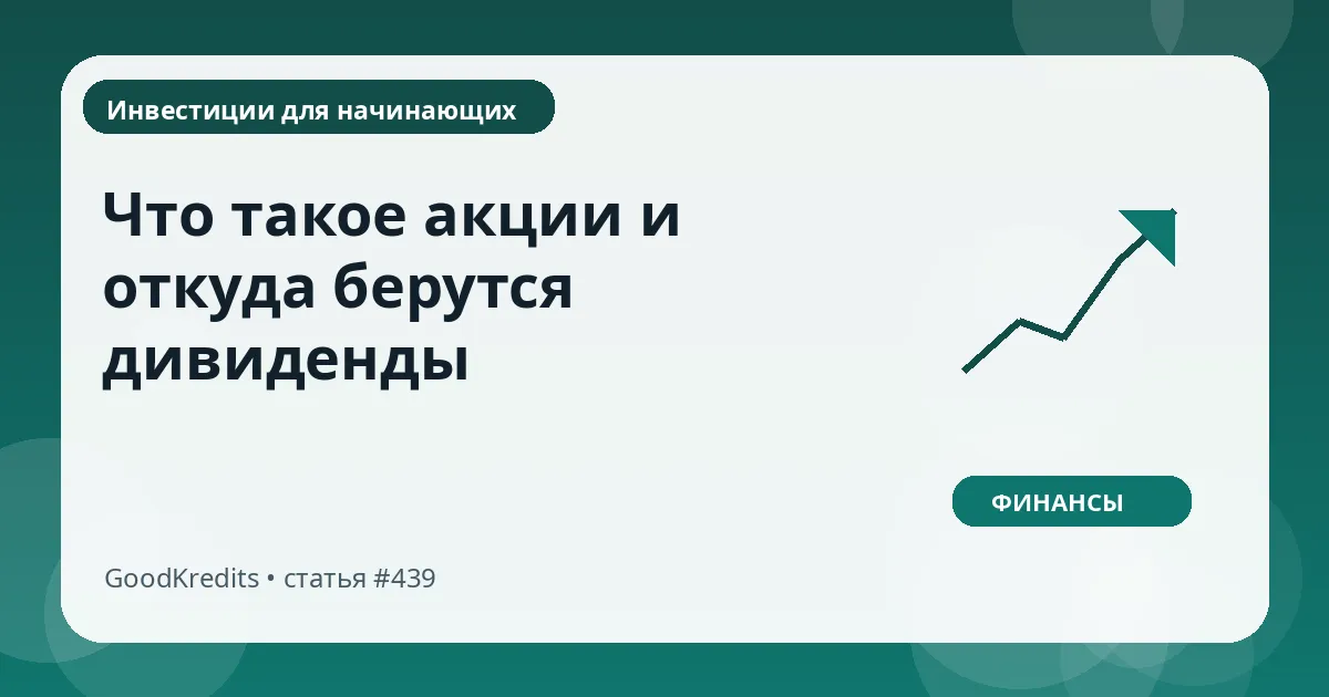 Что такое акции и откуда берутся дивиденды