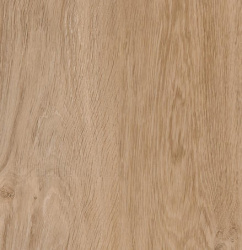 THH_PROGRESSIVEHOUSE_Darin (2)