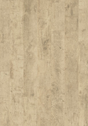 cq5dam web - 2023-02-28T171811.119