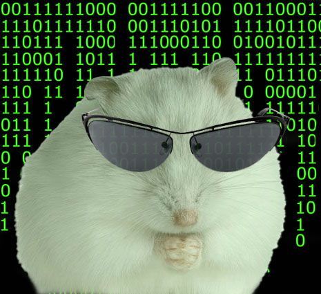 Аватар MaruSmall