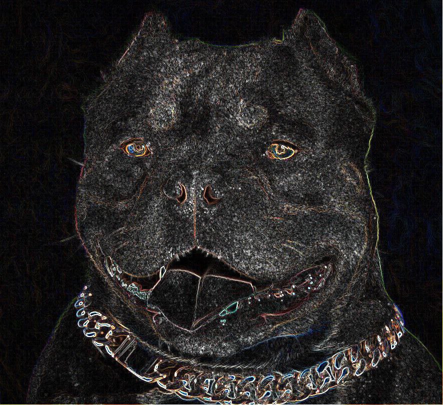 Аватар bu11ych