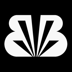 BUZZI & BUZZI logo