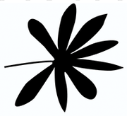 OI SOI OI logo