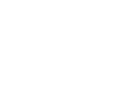 VG NEW TREND