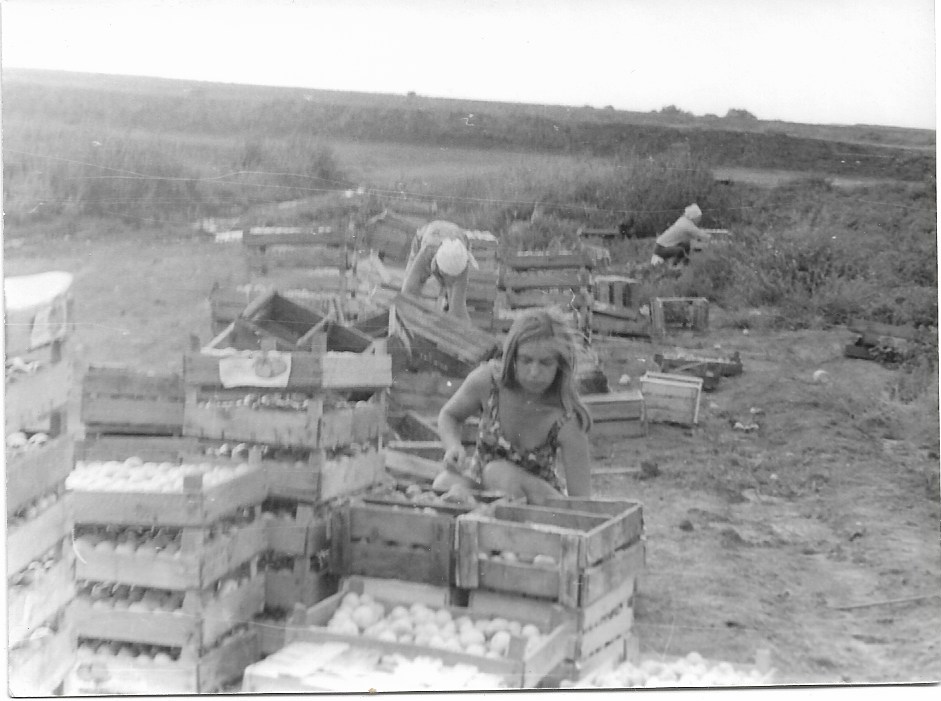 Студенческое лето 1975 года
