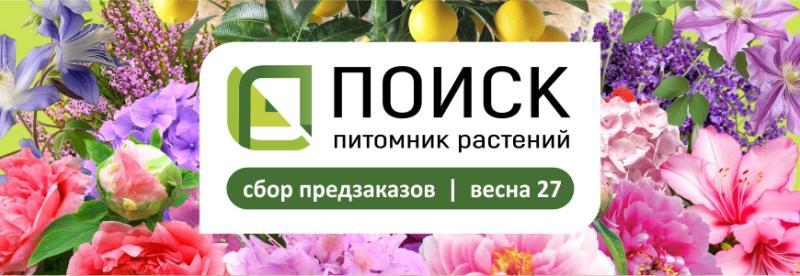 ПОИСК кустарники на ВЕСНУ 2027
