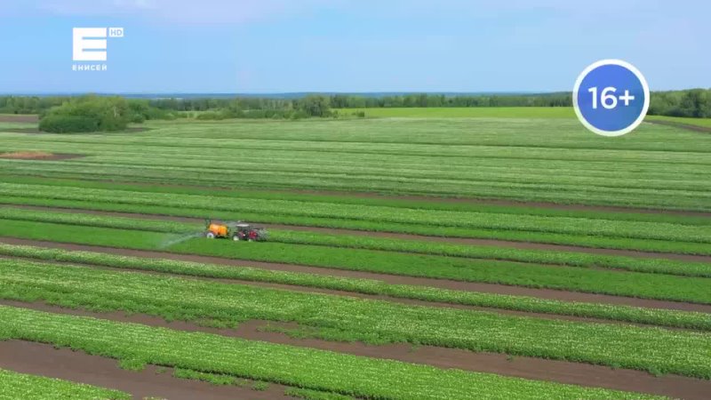 В 17:00 начнется прямая линия с Губернатором Красноярского края.