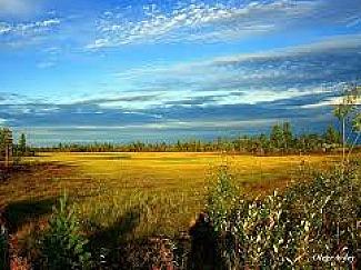 Конкурс стихов