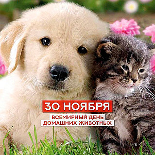 30 ноября - Всемирный день домашних животных