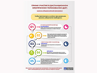 Дончане могут проголосовать  дистанционно