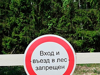 Пребывание в лесах под запретом