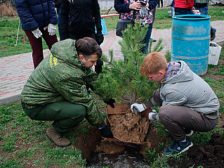 Стартует Всероссийская акция «Сохраним лес»