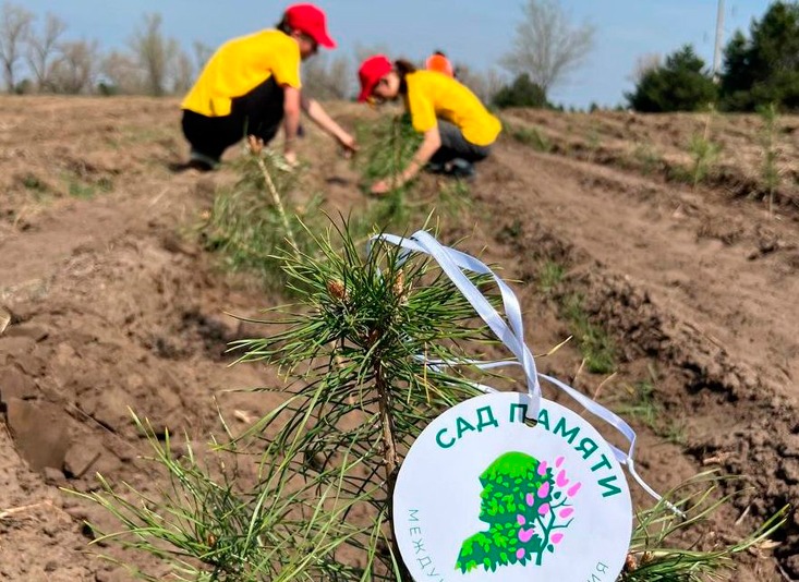 Донские лесоводы принимают участие в Международной акции «Сад памяти»