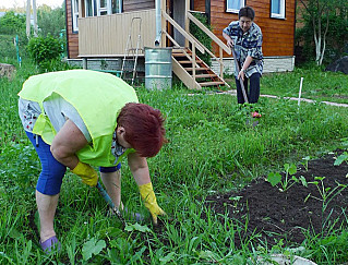 Прополка грядок схожа с приемом антидепрессантов