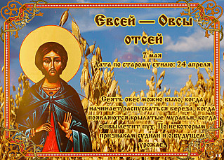 Евсей — Овсы отсей