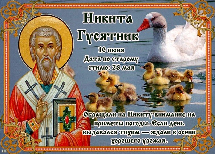 Никита Гусятник