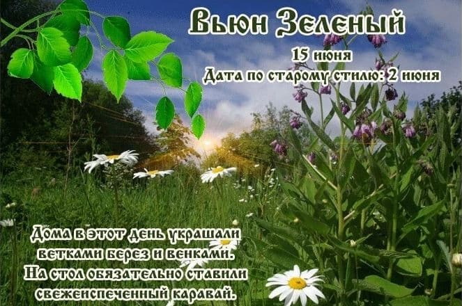 Вьюн Зеленый