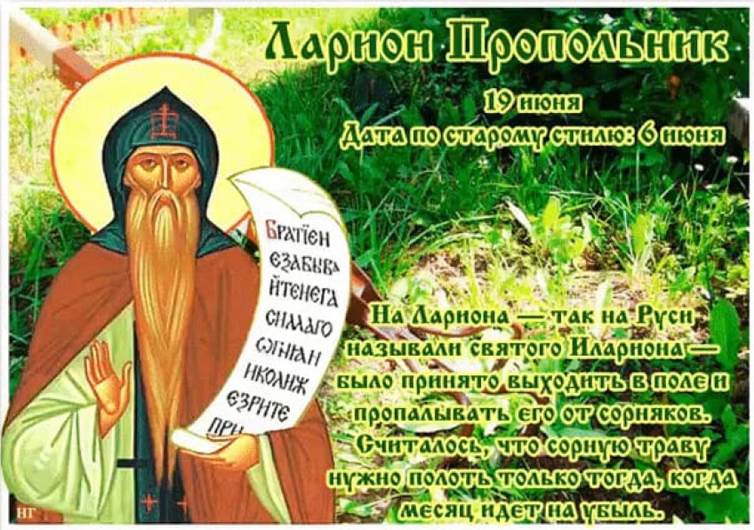 Ларион Пропольник