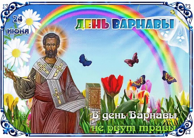 Почему в День Варнавы нельзя рвать травы