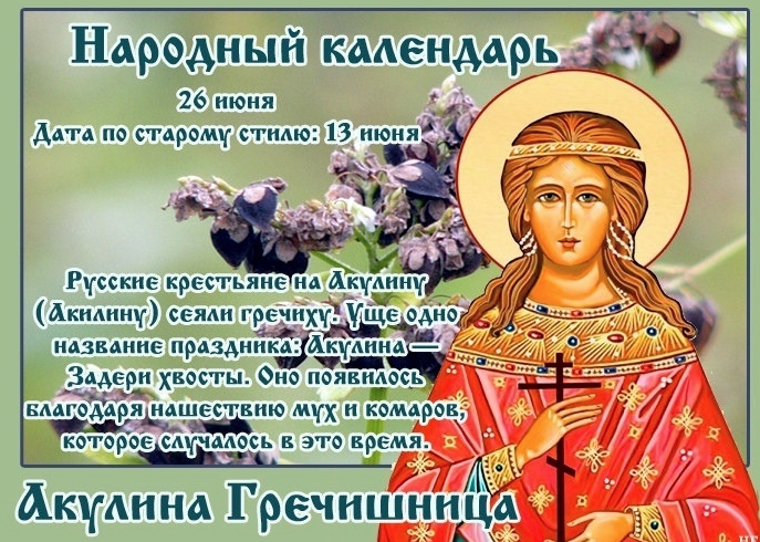 Акулина Гречишница: Почему 26 июня нужно есть гречневую кашу