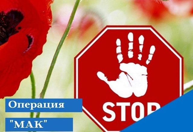 Операция «Мак» пройдет в три этапа