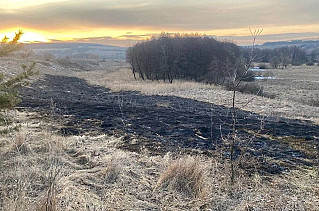 В Ростовской области возбуждено более 250 дел за выжигание сухой растительности и мусора