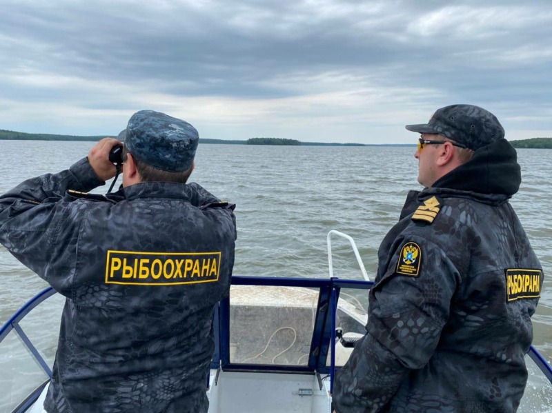 Почти 10 тысяч раков обнаружены в ловушках браконьеров