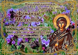 Фомаида Медуница: что лучше не делать 26 апреля?