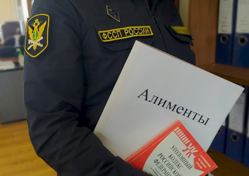 В Ростовской области появится публичный список алиментщиков