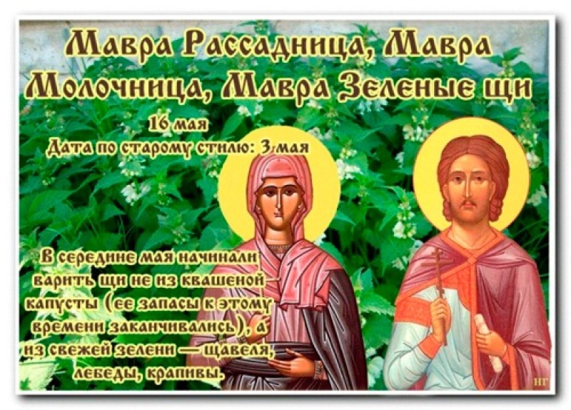 Мавра Рассадница: почему 16 мая считается особенным днем для супругов?