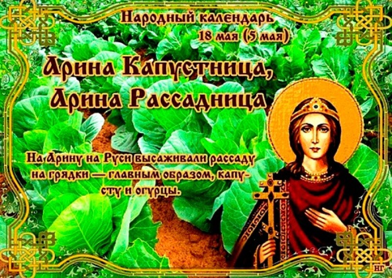 Арина Капустница: что 18 мая должны делать только женщины?