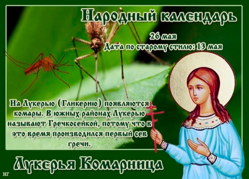 Лукерья Комарница: о чем 26 мая могут рассказать комары и мошки?