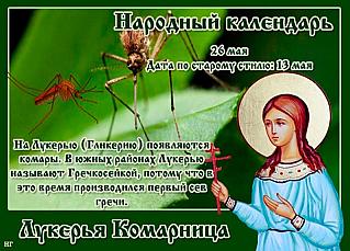 Лукерья Комарница: о чем 26 мая могут рассказать комары и мошки?