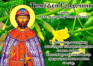 Тимофей Грядочник: о чем расскажут приметы 2 июня?
