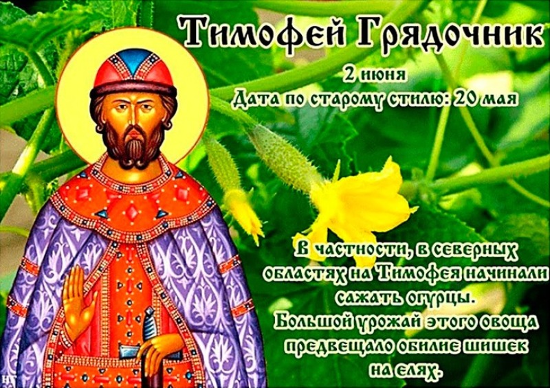 Тимофей Грядочник: о чем расскажут приметы 2 июня?