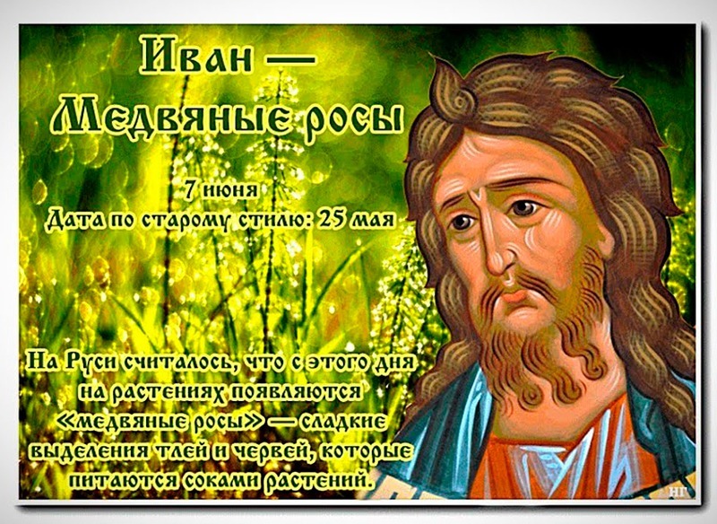 Иван – Медвяные росы: почему 7 июня нельзя убирать в доме и выносить сор из избы?